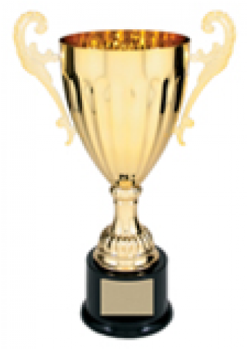 Metal Cup Trophy - Trophy Cup (500x500), Png Download