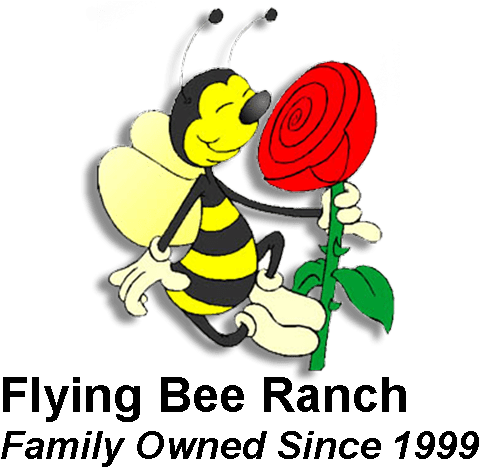 Honey Bee Products & Honey Tasting In Salem Oregon - Cartoon Bee Honey Nut Cheerios (500x500), Png Download
