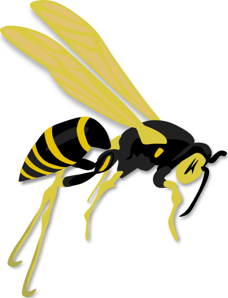 Clip Art Wasp (456x597), Png Download