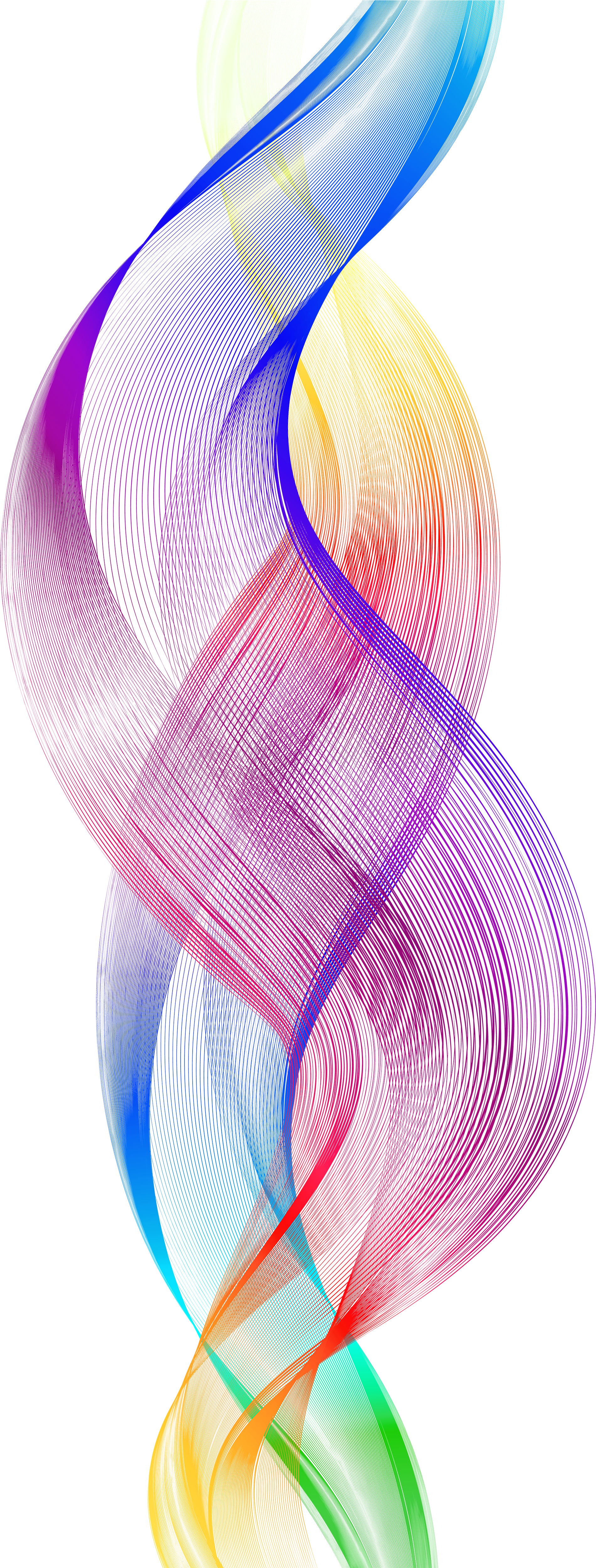 Decorative Clipart Squiggly Line - Clip Art (2044x5000), Png Download