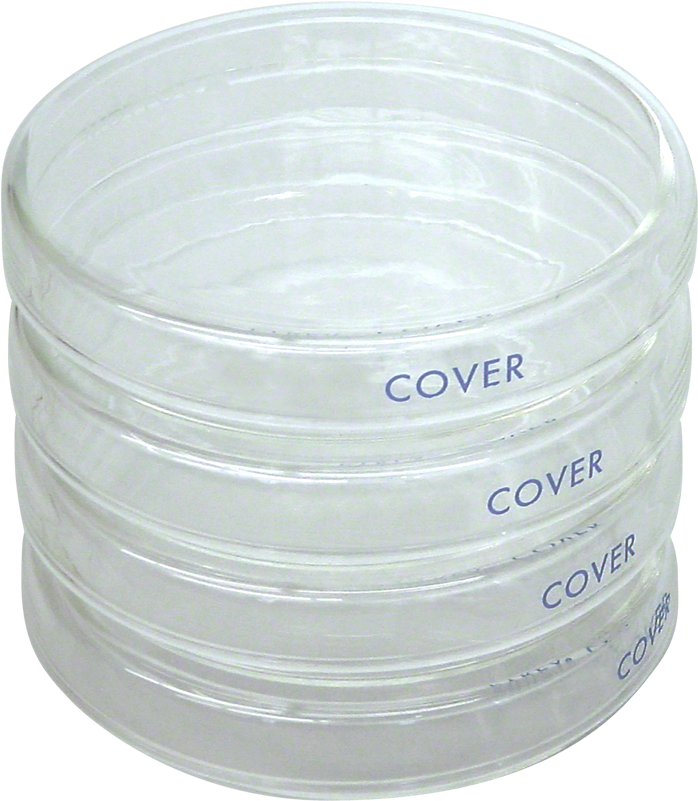 Glass Petri Dishes (700x700), Png Download