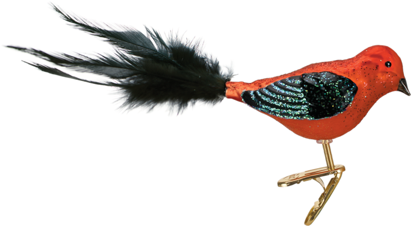 Old Word Christmas Scarlet Tanager Glass Ornament - Old World Christmas Ornament Scarlet Tanager (900x900), Png Download