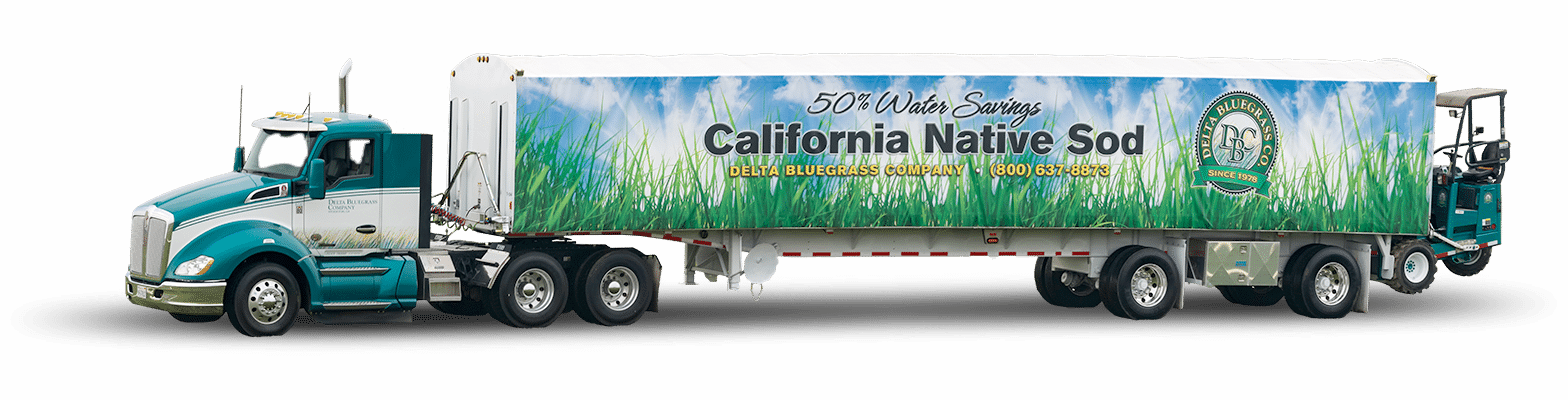 Loaded Onto A Specialized Delivery Truck, And Is Delivered (1568x400), Png Download