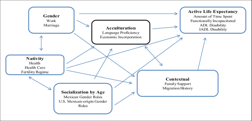 A Conceptual Model Of Healthy Aging For Older Hispanics - Diagram (850x408), Png Download