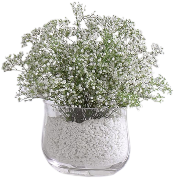 Baby's Breath Vase Arrangement - Baby's Breath Centerpiece (600x600), Png Download