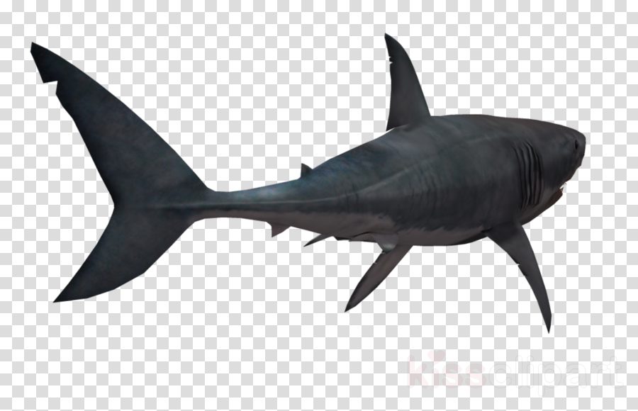 Shark Png Transparent Clipart Great White Shark Clip - Overwatch Reaper Artwork (900x580), Png Download