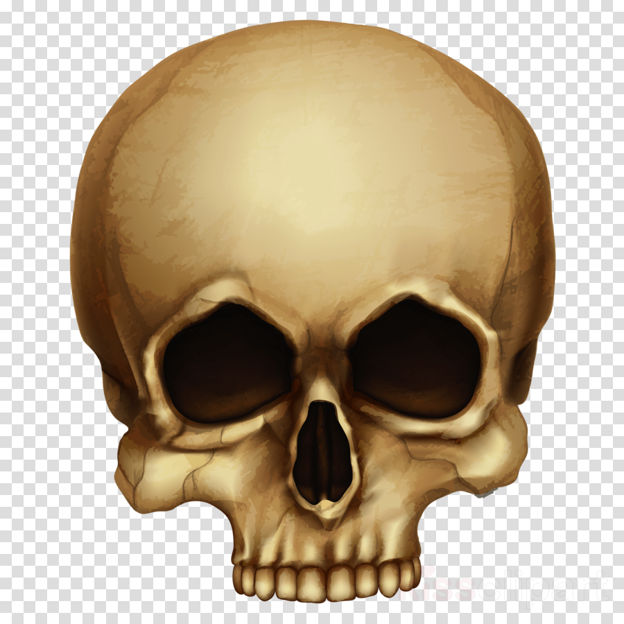 Halloween Skull Png Clipart Skull Clip Art - Hoffman Lake Mesh Cap (900x900), Png Download