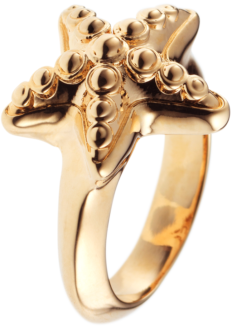Starfish Gold Ring - Engagement Ring (1200x1200), Png Download