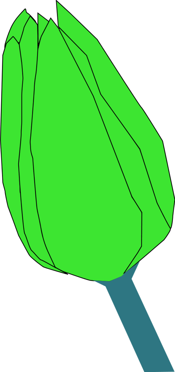 Calla Lily Clipart (600x1272), Png Download