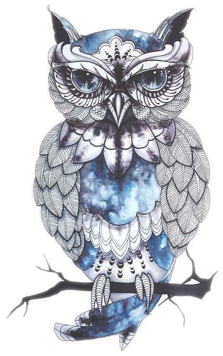 Owl Drawing Artist Bird Tattoo Png Free Photo - Dalin 4 Sheets Temporary Tattoos, Blue Owl, Cat, Fox (728x728), Png Download