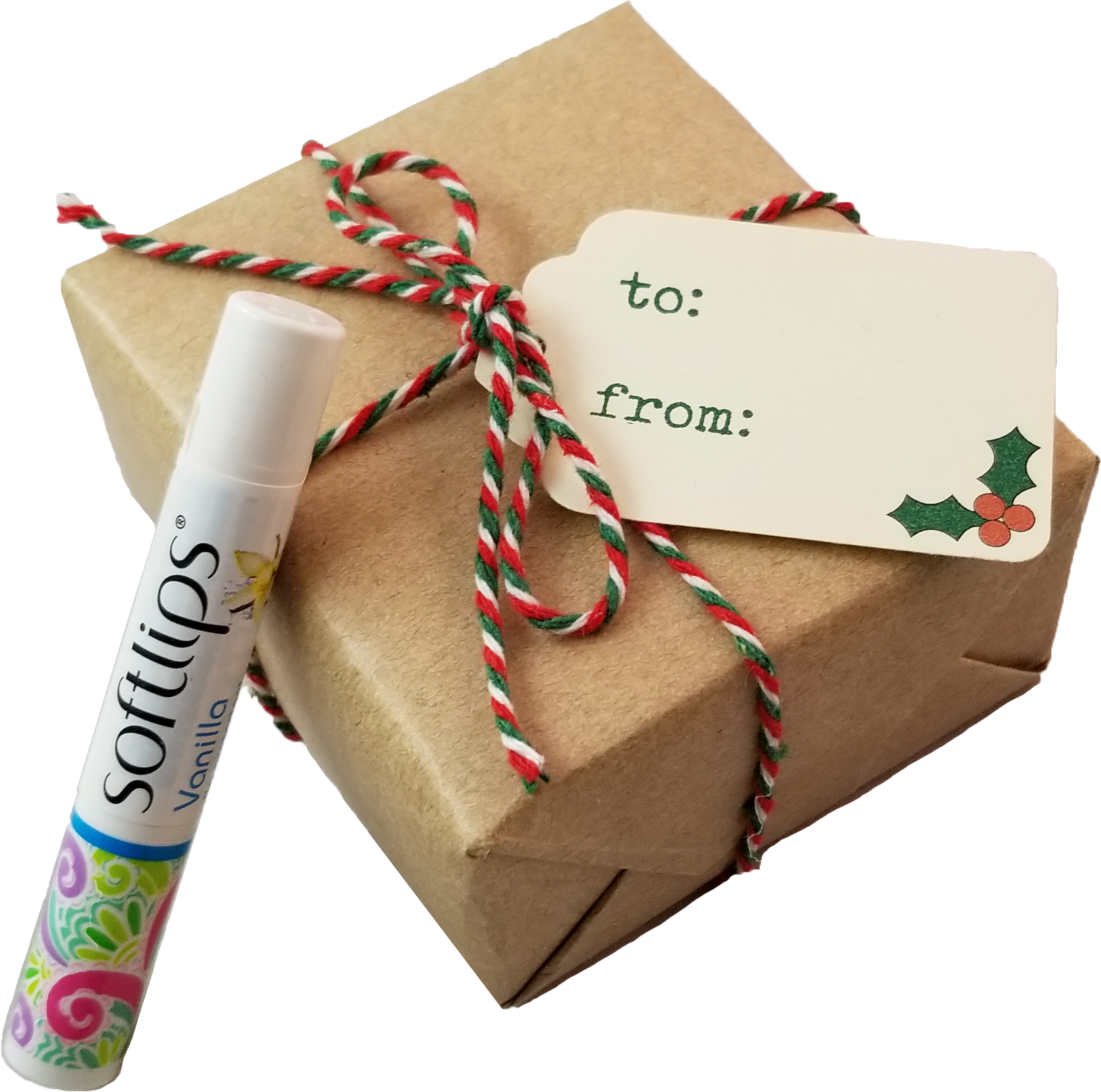Softlips Vanilla Lip Protectant Spf 20 In Special Holiday - Chocolate (1623x1610), Png Download