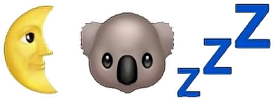 Report Abuse - Koala (886x406), Png Download