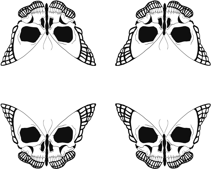 Butterfly Skull (800x720), Png Download
