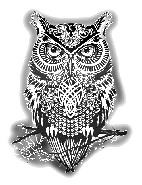 Dragsig Owl - Society6 Warrior Owl 2 Couch Throw Pillow - Small (17" (500x650), Png Download