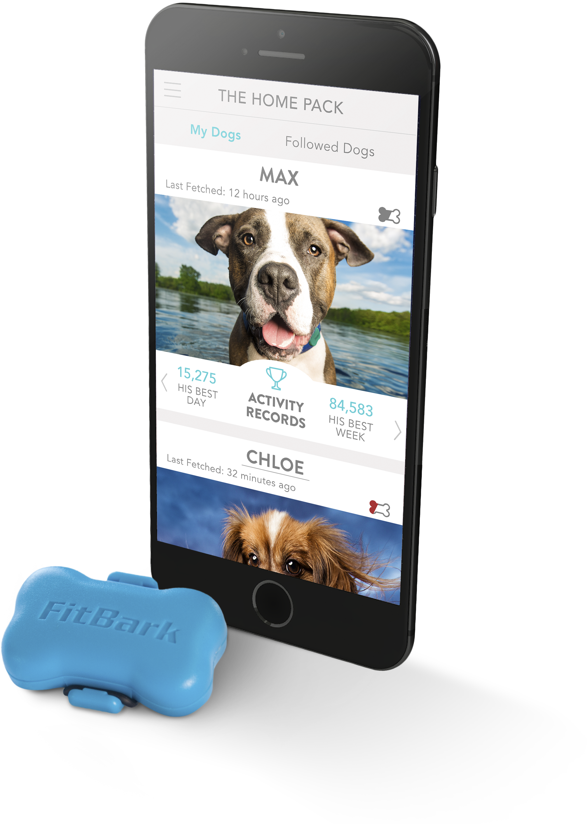 Fitbark - Fitbark Dog Activity Monitor - Cool Grey - 7001004-gray (2456x3032), Png Download