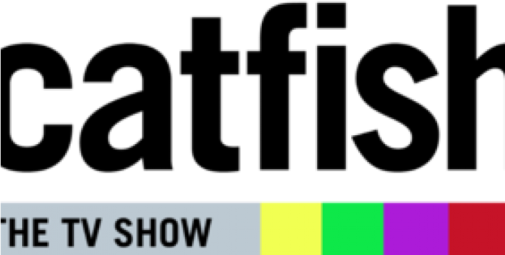 Mtv 'catfish' Recap - Next (728x400), Png Download