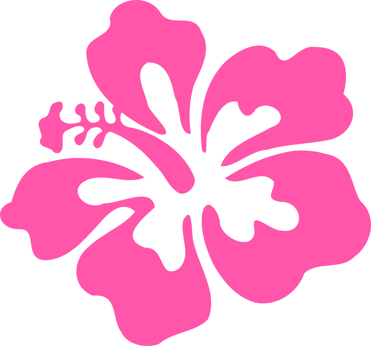 Hibiscus, Pink, Tropical, Flower, Floral, Bloom - Hawaiian Flowers Transparent Background (772x720), Png Download