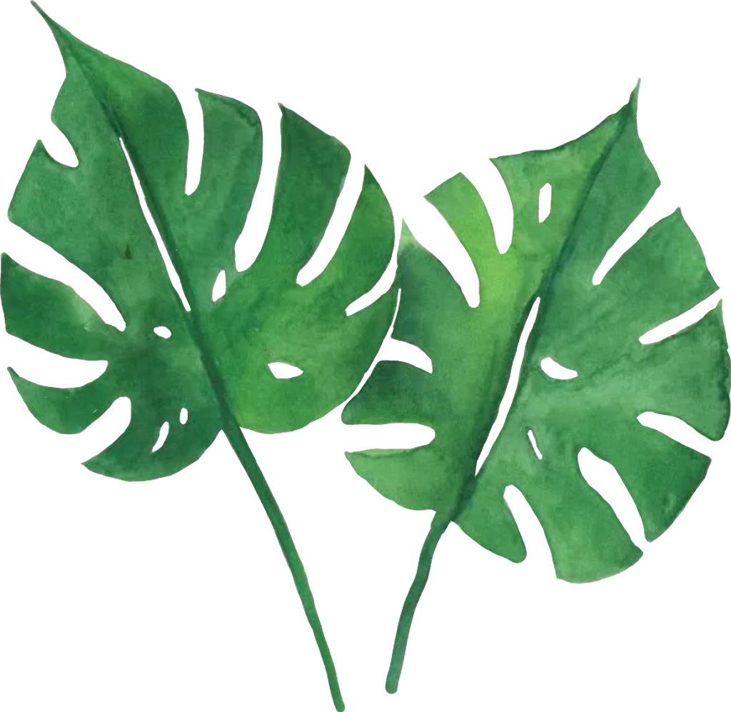 Green Leaves Sticker By Anna - Tropical Green Leaves Printable (884x861), Png Download