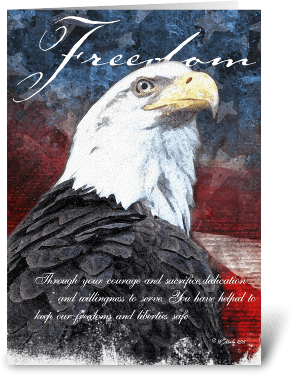 Freedom Eagle Veteran's Day Card Greeting Card - Veterans Day Bald Eagle (700x792), Png Download