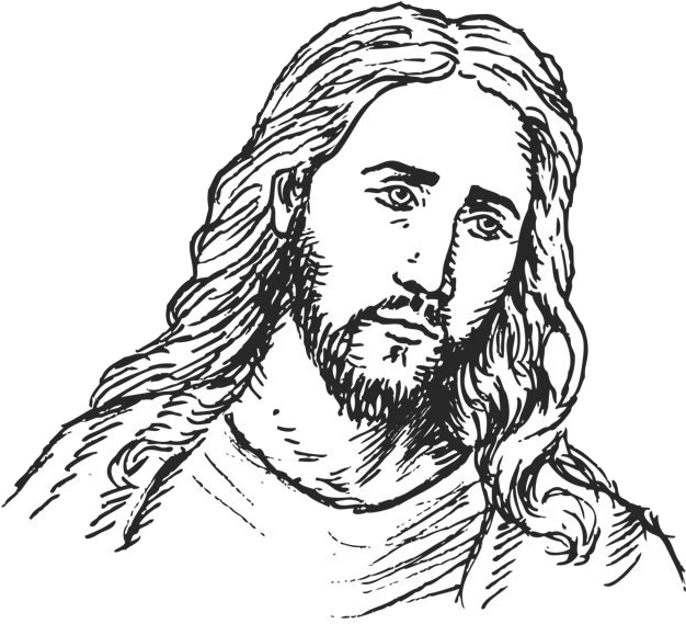 Banner Black And White Stock Christ Drawing - Face Of Jesus Png (630x600), Png Download