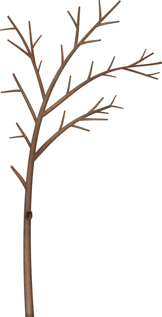 Winter Tree Clipart At Getdrawings - Clip Art Tree Limb Borders (525x1024), Png Download