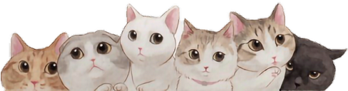 The Less Png Wanted - Kitten Png (500x282), Png Download