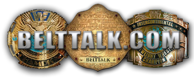 Belttalk Blog - Wwe Universal Championship Belt Leaked (640x263), Png Download