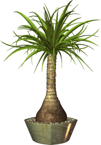 Pot Plants, Elements Of Art, Flower Art, Decoupage, - Png Image Plants Pot (350x500), Png Download
