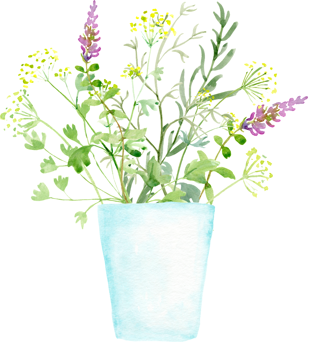 Flowerpot Planting Plant Cartoon Transparent - Wall (1024x1128), Png Download