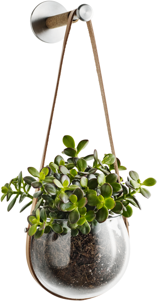 Best Florist In Fort Lauderdale - Holmegaard - Design With Light Hanging Pot, 14 Cm (1024x1024), Png Download