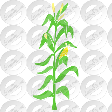 Cornstalk Stencil For Classroom / Therapy Clipart - Corn Stalk (380x380), Png Download