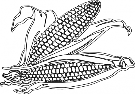 And Pumpkins Coloring Page - Corn Clipart Black And White (476x333), Png Download