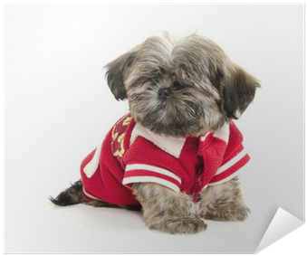 Puppy (400x400), Png Download