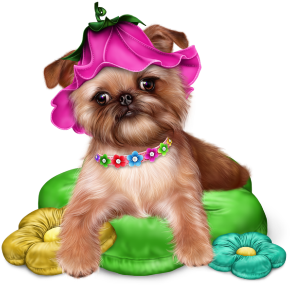Continental Clip Shih Tzu Poodle Png Free Stock - Clip Art (600x600), Png Download