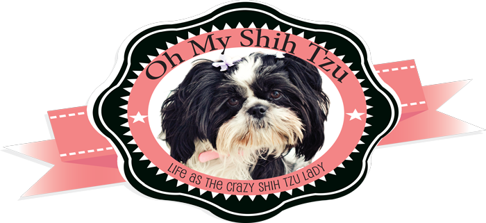 You May Also Like - Chinese Imperial Dog (700x321), Png Download