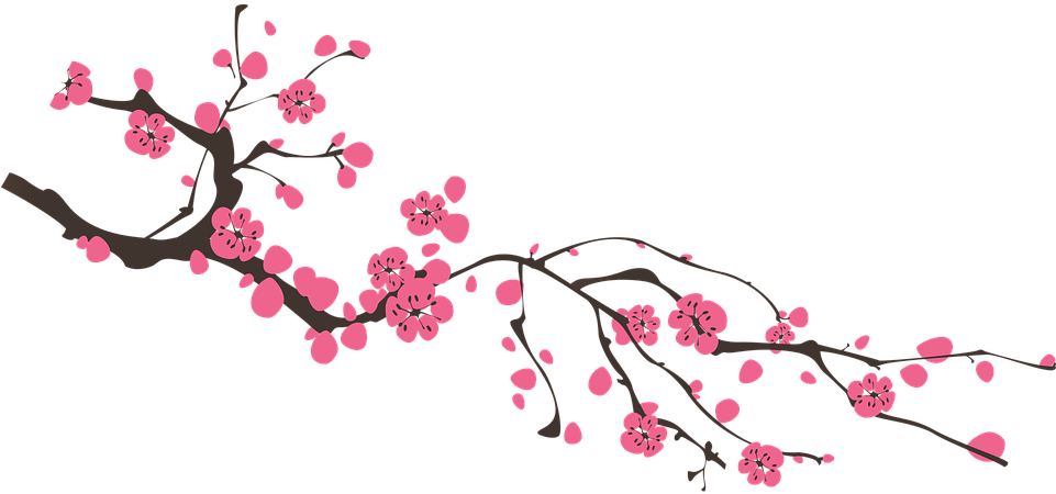 Sakura Png (960x480), Png Download