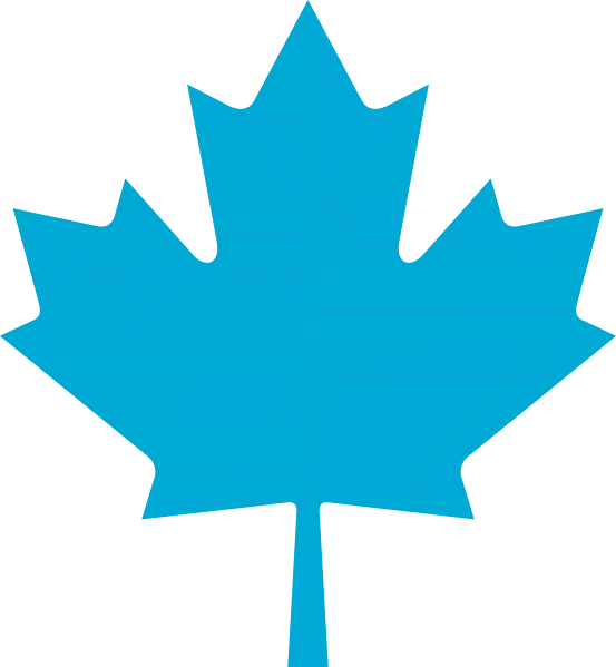 Bq Maple Leaf - Sumitomo Rubber Thailand Co Ltd (553x599), Png Download