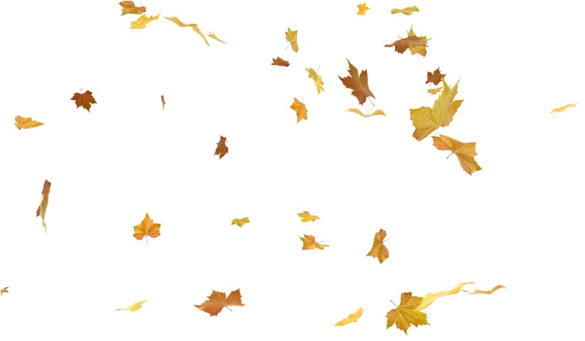 Falling Leaf Png Photos - Stock Footage (852x480), Png Download