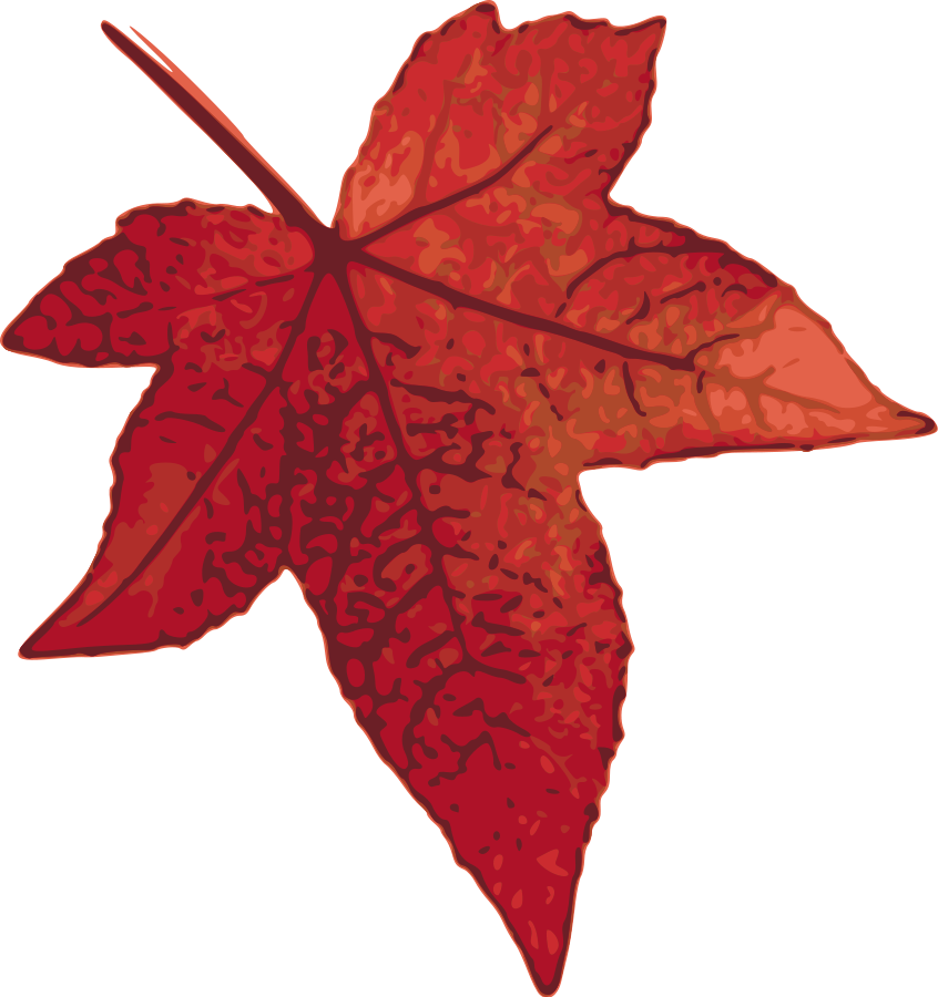 Maple Leaf Png (846x900), Png Download