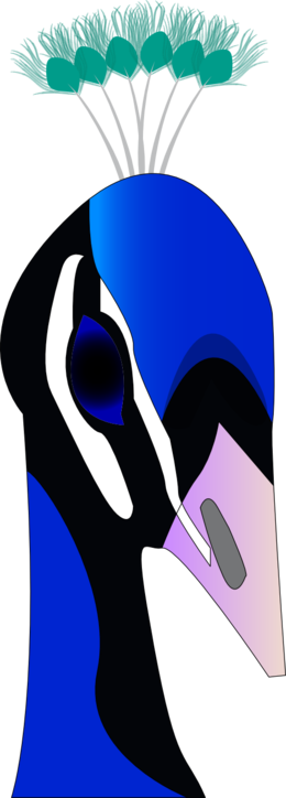 About 757 Free Commercial & Noncommercial Clipart Matching - Peacock Face Clip Art (260x724), Png Download