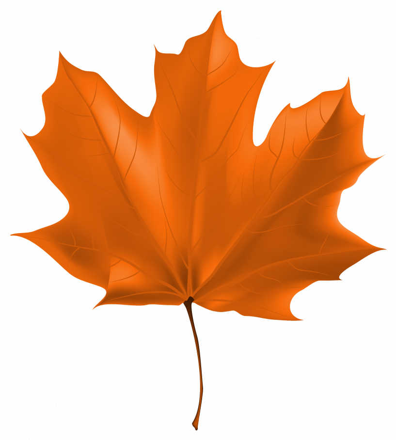Autumn Leaf Clipart Png (817x908), Png Download