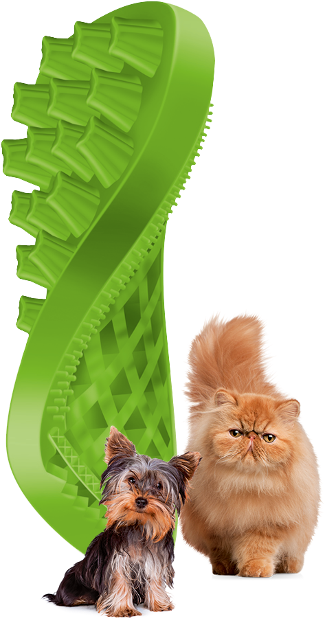 Green Brush With Animals - Petlife Pet+me Grooming Brush For Cats - Ideas 4 Pets (624x951), Png Download