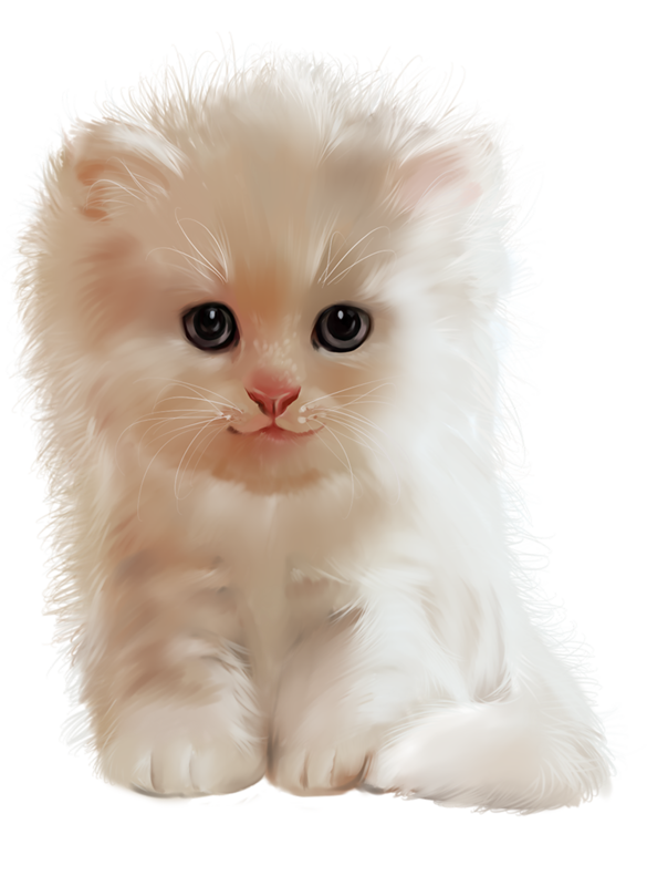 Cat Cute Cats, Dog Cat, Kitten, Kawaii Cat - Cat (585x800), Png Download