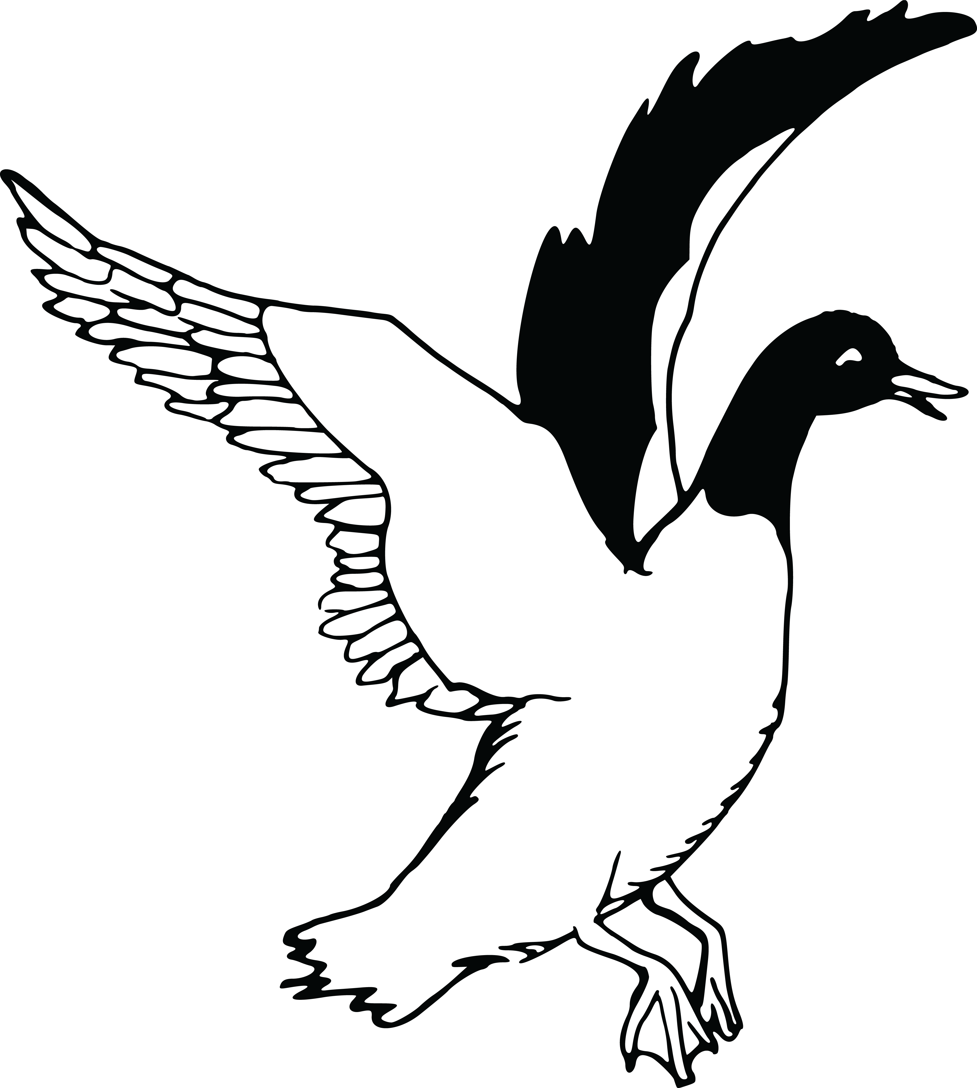 Flying Drawing At Getdrawings - Free Clipart Black And White Swans (4000x4454), Png Download