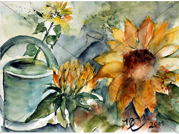 Postcard Ossenberg - Chrysanths (600x600), Png Download