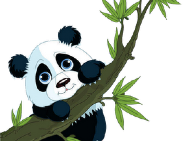 Panda Bear Clipart - Panda Cartoon Png (640x480), Png Download