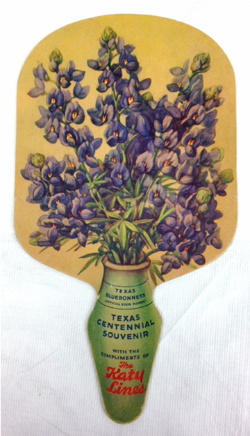 Back - Bluebonnet (625x625), Png Download