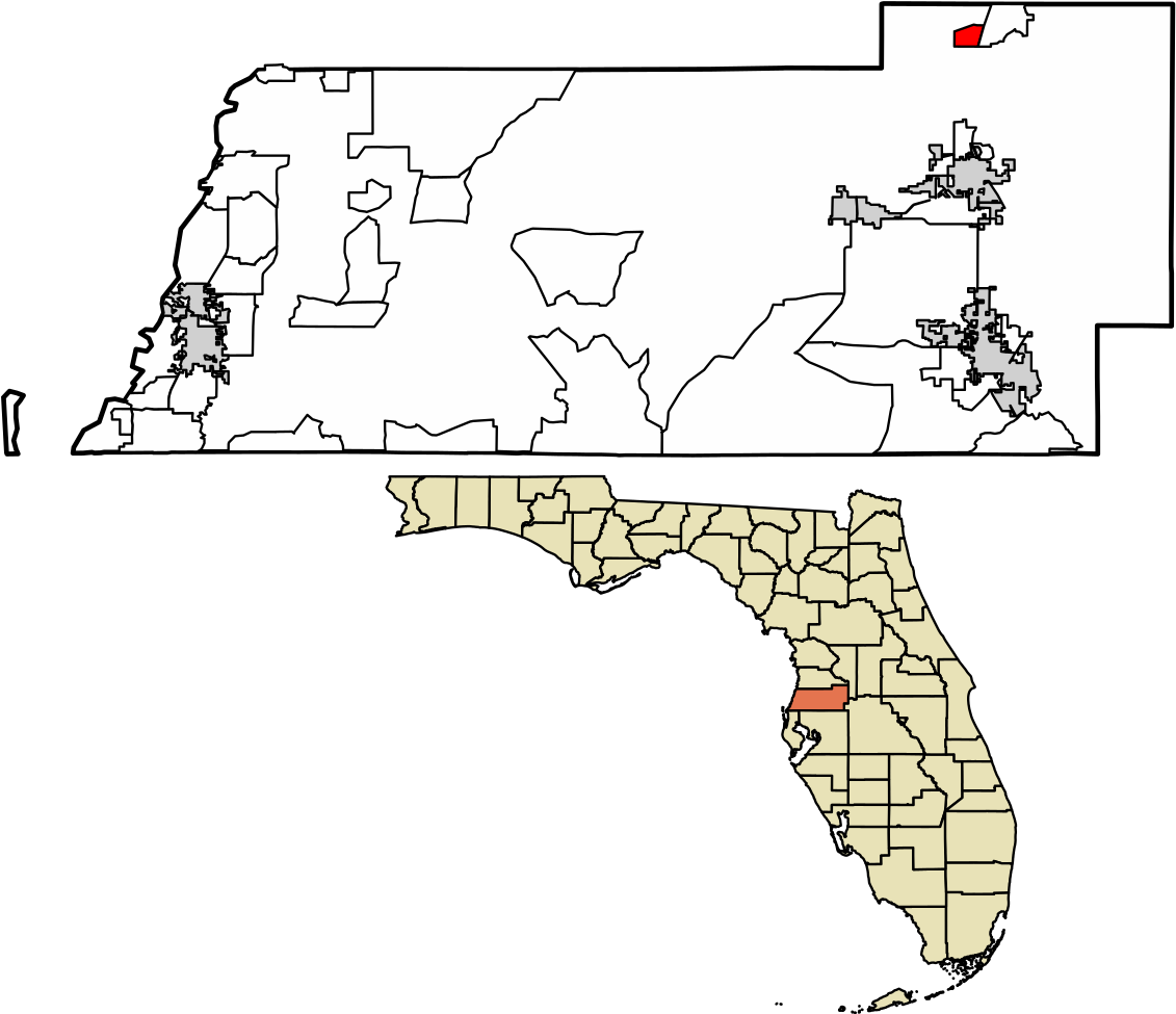 Pasco County Florida Incorporated And Unincorporated - County Florida (1176x1024), Png Download
