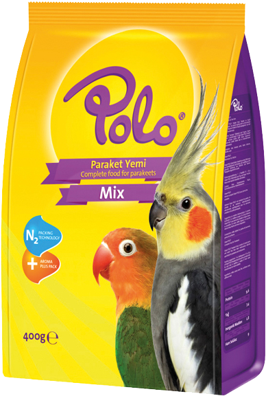 Cockatiel Png (700x700), Png Download