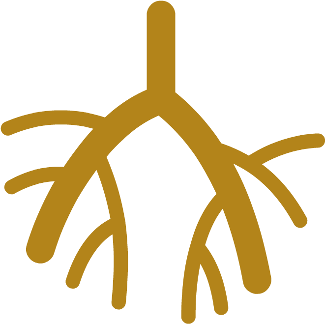 Lymphatic System - Medical Sonography Clipart (880x880), Png Download